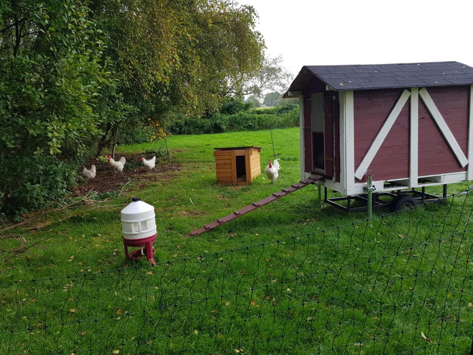 Neu! Landhaus Ostfriesenruhe Berumbur Exterior foto
